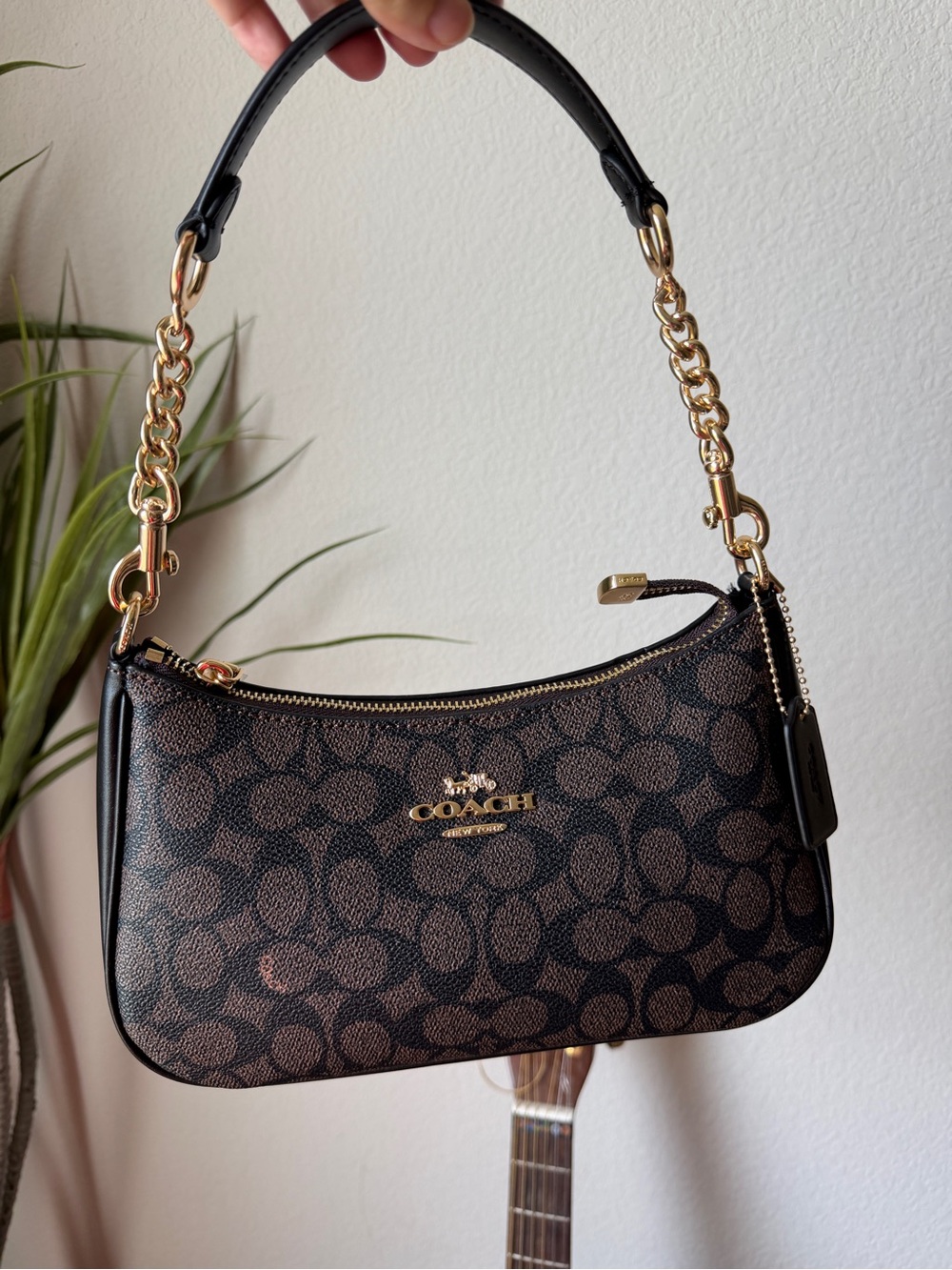 Coach Teri Brown Chalk Signature Bag